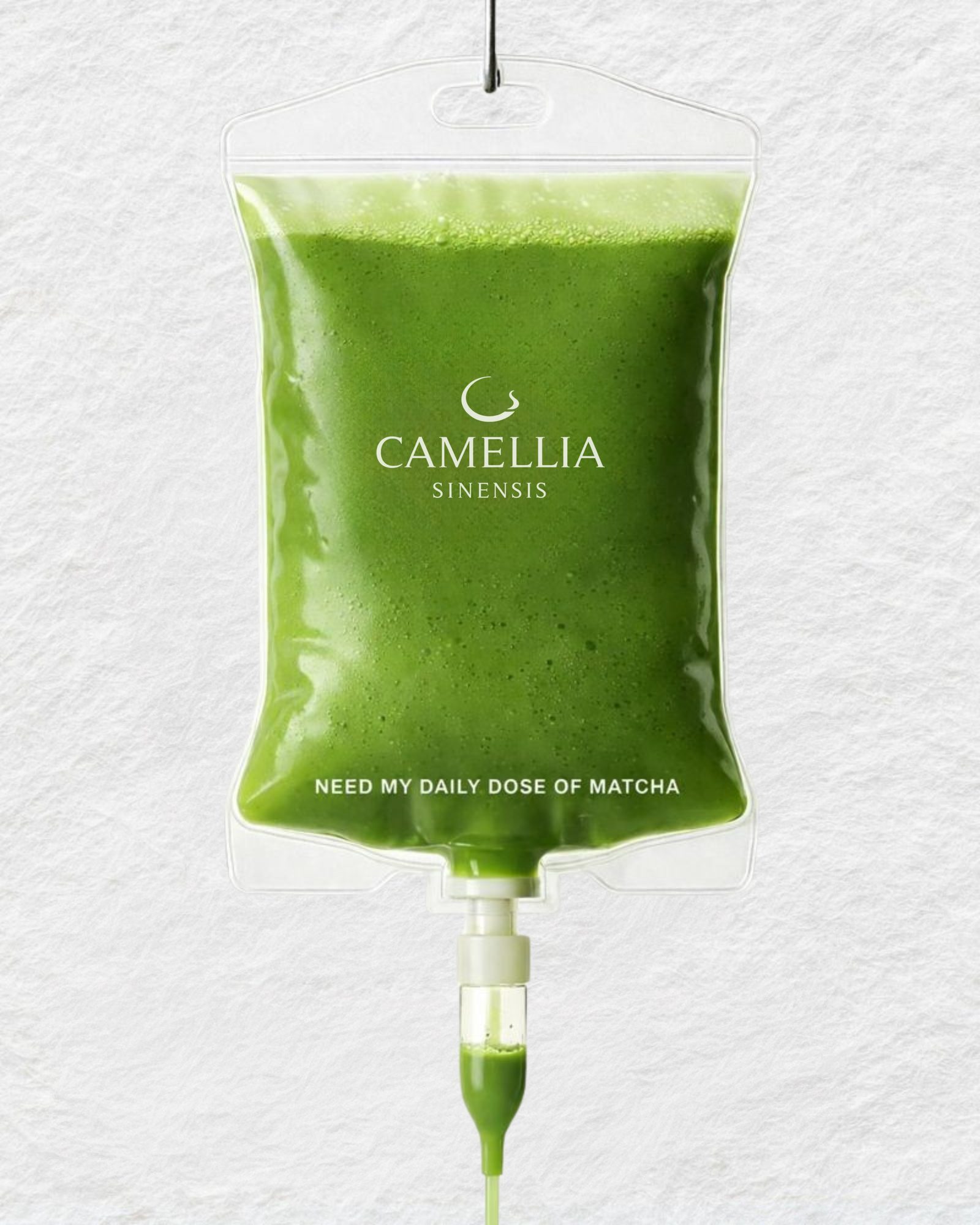 Camelia Sinensis brand visual